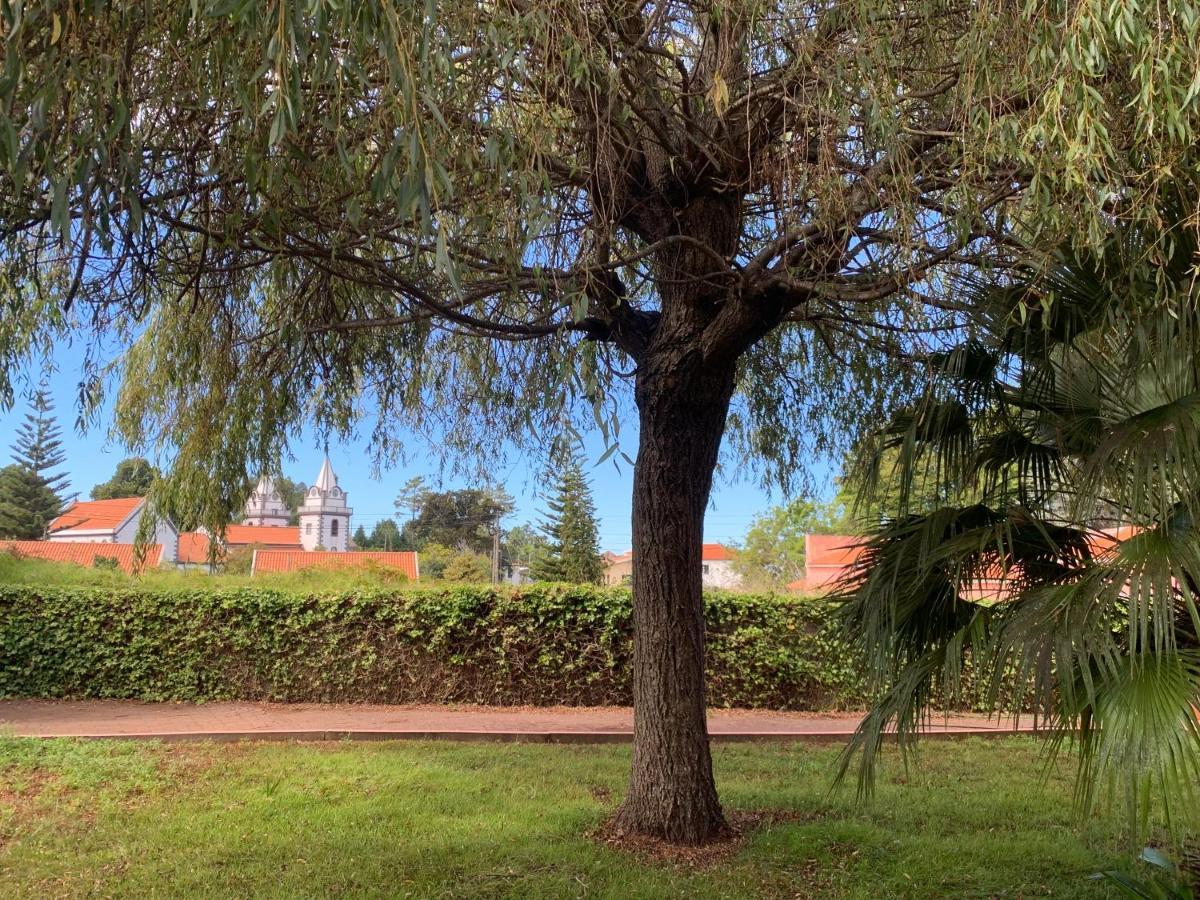 بيت شباب Casa De Cha برازيريس المظهر الخارجي الصورة